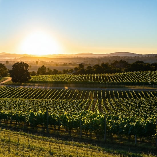 wine country sunset
